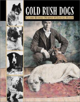 Gold rush dogs