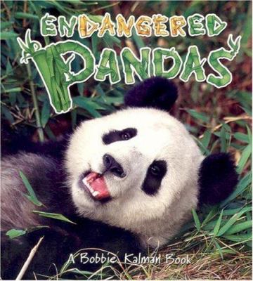 Endangered pandas