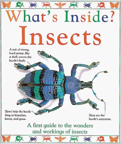 What's inside? insects