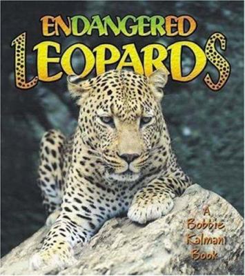 Endangered leopards