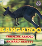 Kangaroo