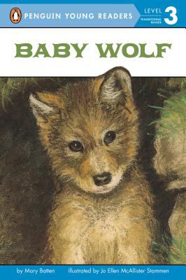 Baby wolf