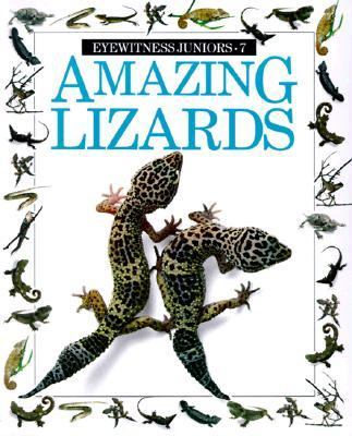 Amazing lizards