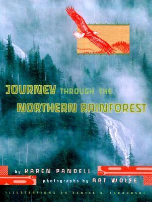 Journey through the northern rainforest