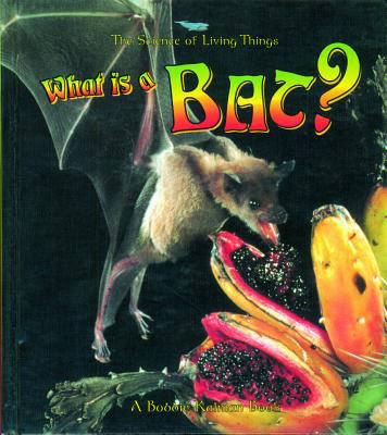 What is a bat?