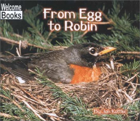 From egg to robin