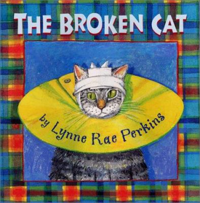 The broken cat