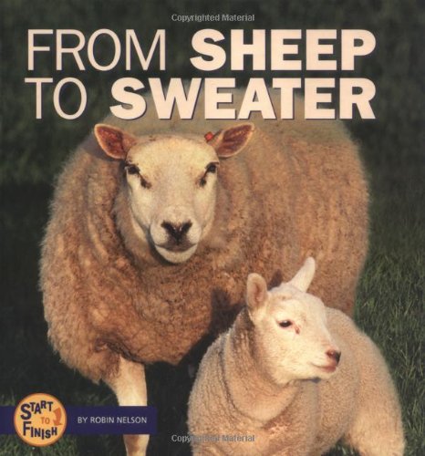 From sheep to sweater