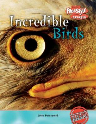Incredible birds