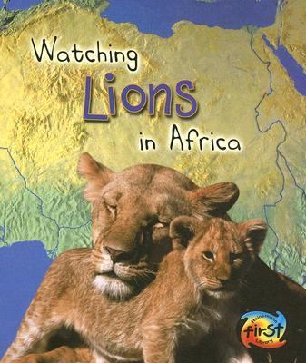 Watching lions in Africa