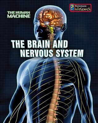 The brain and nervous system