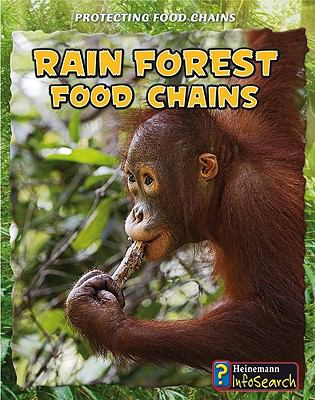 Rain forest food chains