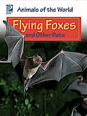 Flying foxes and other bats