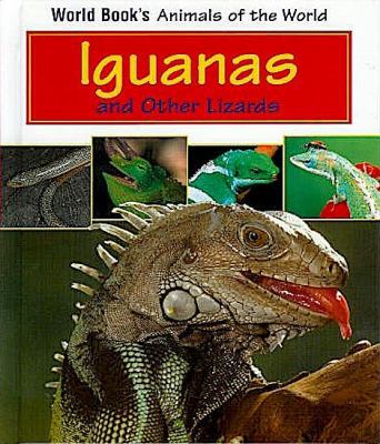 Iguanas and other lizards