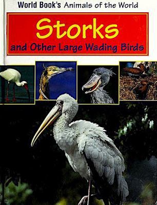 Storks and other large wading birds