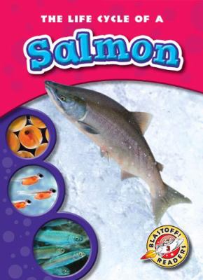 The life cycle of a salmon