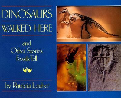 Dinosaurs walked here, and other stories fossils tell