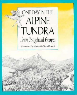 One day in the alpine tundra