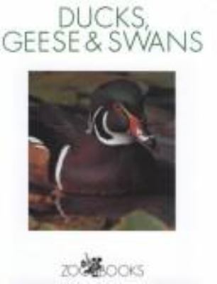 Ducks, geese & swans