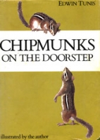 Chipmunks on the doorstep.