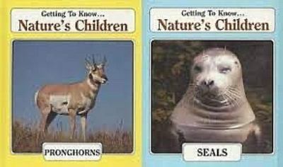 Seals