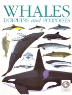 Whales, dolphins, and porpoises