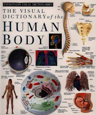 The visual dictionary of the human body.