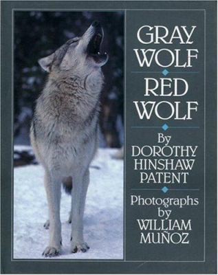 Gray wolf, red wolf