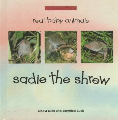 Sadie the shrew