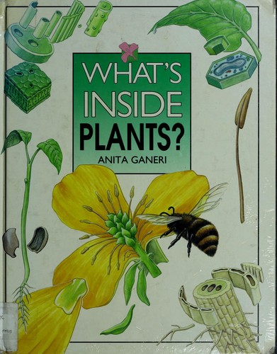 What's inside plants?