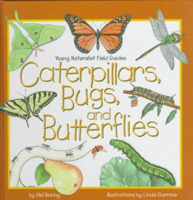 Caterpillars, bugs, and butterflies