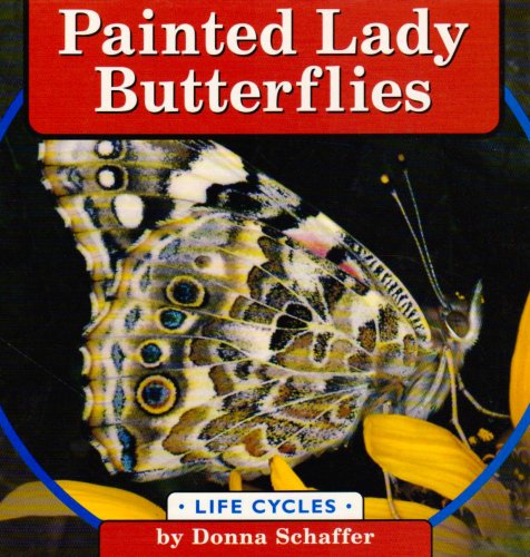 Painted lady butterflies