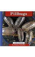 Pillbugs