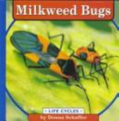 Milkweed bugs