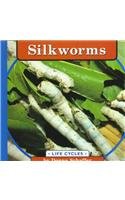 Silkworms