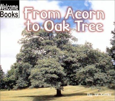 From acorn to oak tree