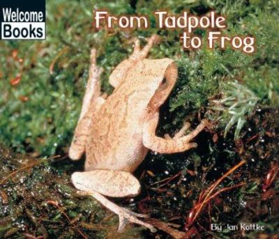 From tadpole to frog