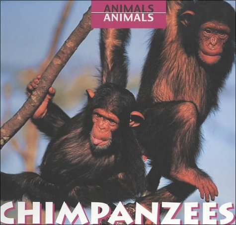 Chimpanzees