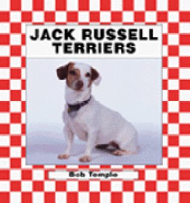 Jack Russell terriers