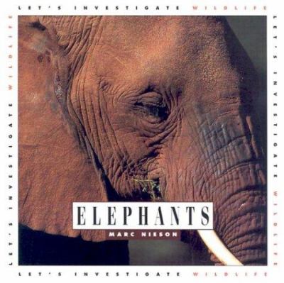 Elephants