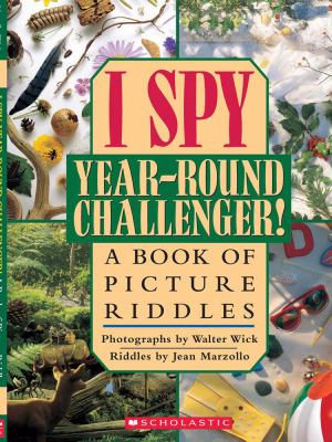 I spy year-round challenger! : a book of picture riddles