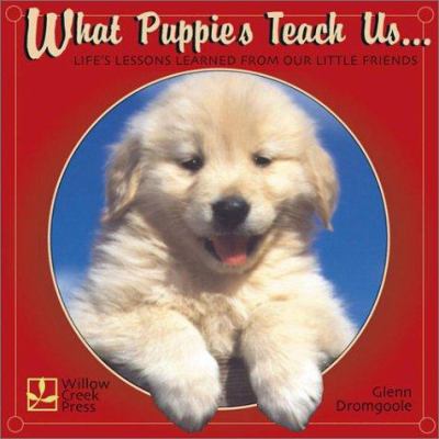 What puppies teach us