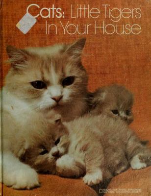 Cats : little tigers in your house