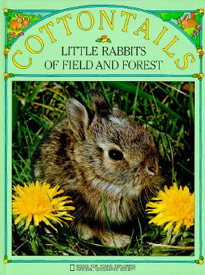 Cottontails : little rabbits of field and forest