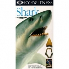 Eyewitness Shark
