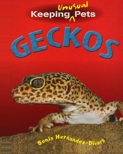 Geckos