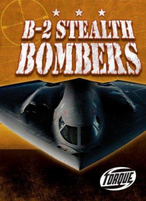 B-2 stealth bombers