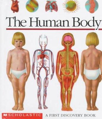 The human body