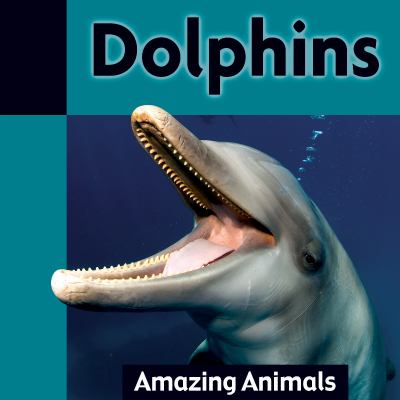 Dolphins