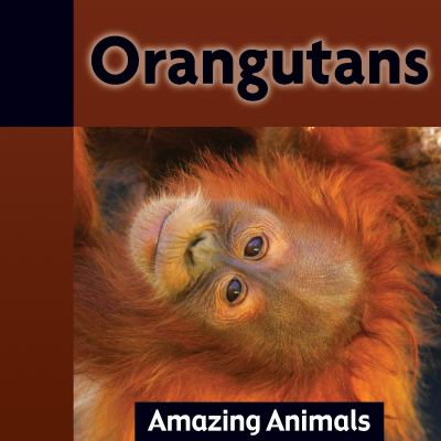 Orangutans